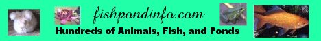 Fishpondinfo.com